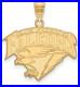 10K_Yellow_Gold_United_States_Air_Force_Academy_Large_Pendant_LogoArt_1Y017USA_01_uyrt