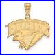 10k_Yellow_Gold_United_States_Air_Force_Academy_Falcons_Mascot_Name_Pendant_01_jdhk