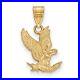 14k_Yellow_Gold_United_States_Air_Force_Academy_Falcons_School_Mascot_Pendant_01_qqy