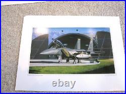 2000-2001 U. S. Air Force Art Collection Print 17x22 Set of 12