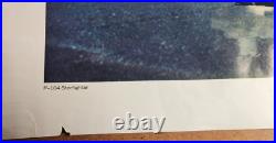 5 Vtg Vietnam War Era United States Air Force Posters / Prints USAF Skyraiders