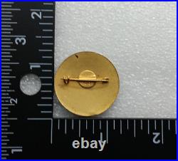 Brazil Air Force Pin Badge