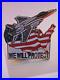 LOT_of_50_WE_WILL_PROTECT_US_AIR_FORCE_F_15_FIGHTER_JET_USAF_Lapel_Pins_01_xwm