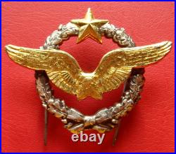 Rare Old Model France Air Force Pilot Badge Drago