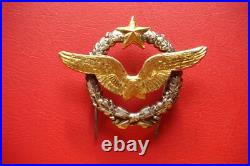 Rare Old Model France Air Force Pilot Badge Drago