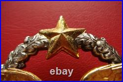 Rare Old Model France Air Force Pilot Badge Drago