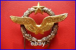 Rare Old Model France Air Force Pilot Badge Drago