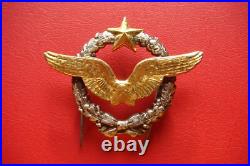 Rare Old Model France Air Force Pilot Badge Drago