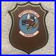 Rare_USAF_Plaque_307th_Tactical_Fighter_Squadron_Stingers_Bito_s_Plaque_Vietnam_01_ndx
