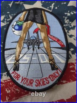 Reese Air Force Base Leg Patch