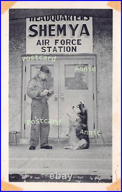Shemya Air Force Base Dog Mascot Boozer USAF Military Eareckson Vtg Postcard C26