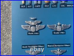 US Air Force USA Military Art Achievement Medal Pin Lot Collection Without Frame