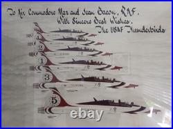 United States Air Force Thunderbirds Display Team 1980s Signed Framed Litho COA