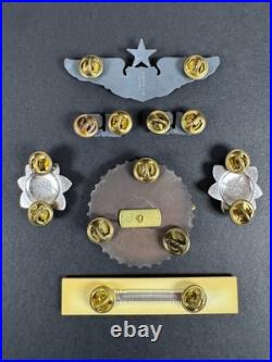 United States Air Force (USAF) Master Pilot's Badge Named Collection
