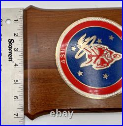 Vintage US Air Force Military Wooden Wall Plaque RED DEVILS 431st Squadron