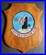 Vtg_US_Air_Force_Wall_Plaque_54th_WEA_RECON_SQUADRON_USAF_Weather_Recon_01_dqzf