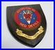 WWII_US_AIR_FORCE_Red_Devils_431st_PAINTED_Fighter_Squadron_PATCH_PLAQUE_SHIELD_01_rm