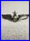 WWll_United_States_Air_Force_USAF_Senior_Pilot_Wings_badge_01_dxj