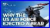 Why_The_Us_Airforce_Ejected_A_Bear_01_gzb
